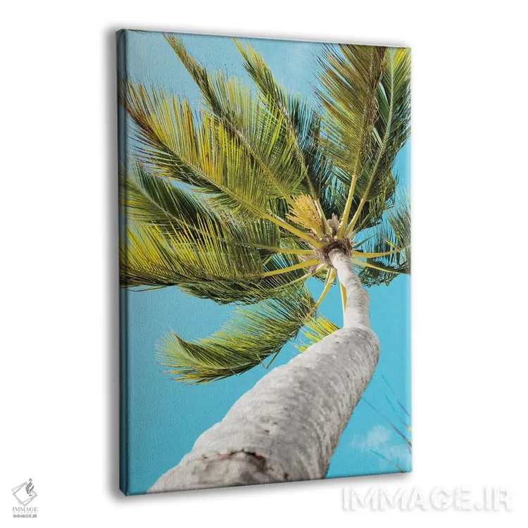 تابلو دکوراتیو بادهای استوایی اثر امیلی ناواس - نمای پرسپکتیو محصول