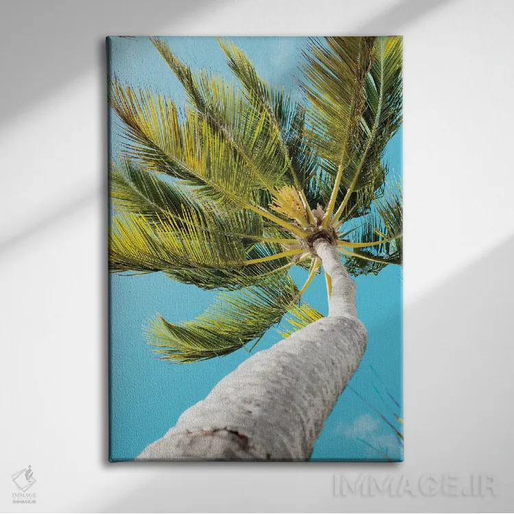 تابلو دکوراتیو بادهای استوایی اثر امیلی ناواس - نمای روبهرو روی دیوار