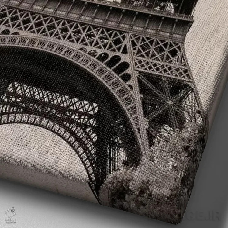 تابلو دکوراتیو پاریس عزیز اثر امیلی ناواس - نمای نزدیک بافت بوم