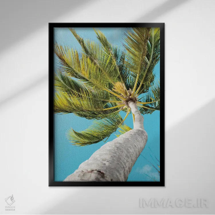 تابلو دکوراتیو بادهای استوایی اثر امیلی ناواس - نمای قابدار مشکی