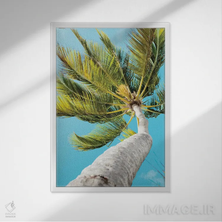 تابلو دکوراتیو بادهای استوایی اثر امیلی ناواس - نمای قابدار سفید