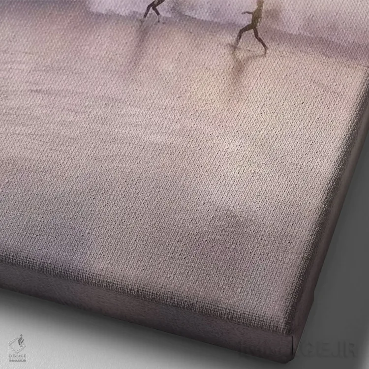 تابلو دکوراتیو رویاپردازان اثر ای ان.پی اس - نمای نزدیک بافت بوم