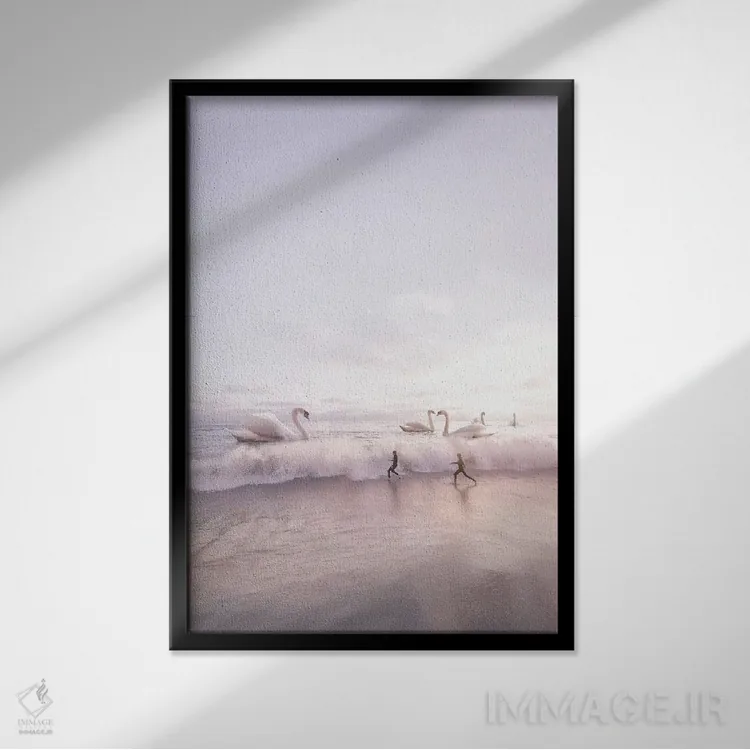 تابلو دکوراتیو رویاپردازان اثر ای ان.پی اس - نمای قابدار مشکی