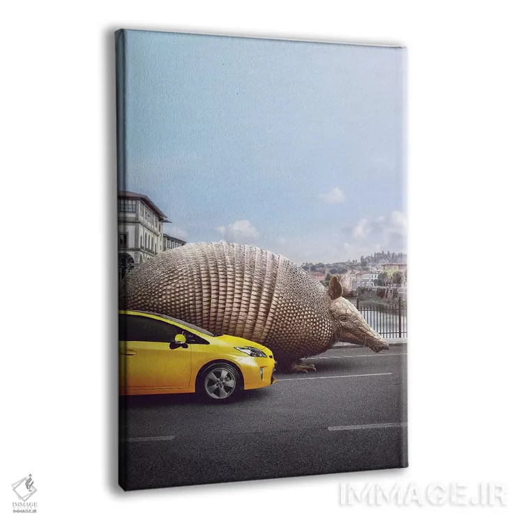 تابلو دکوراتیو آرمادیلوی غریبه اثر ای ان.پی اس - نمای پرسپکتیو محصول