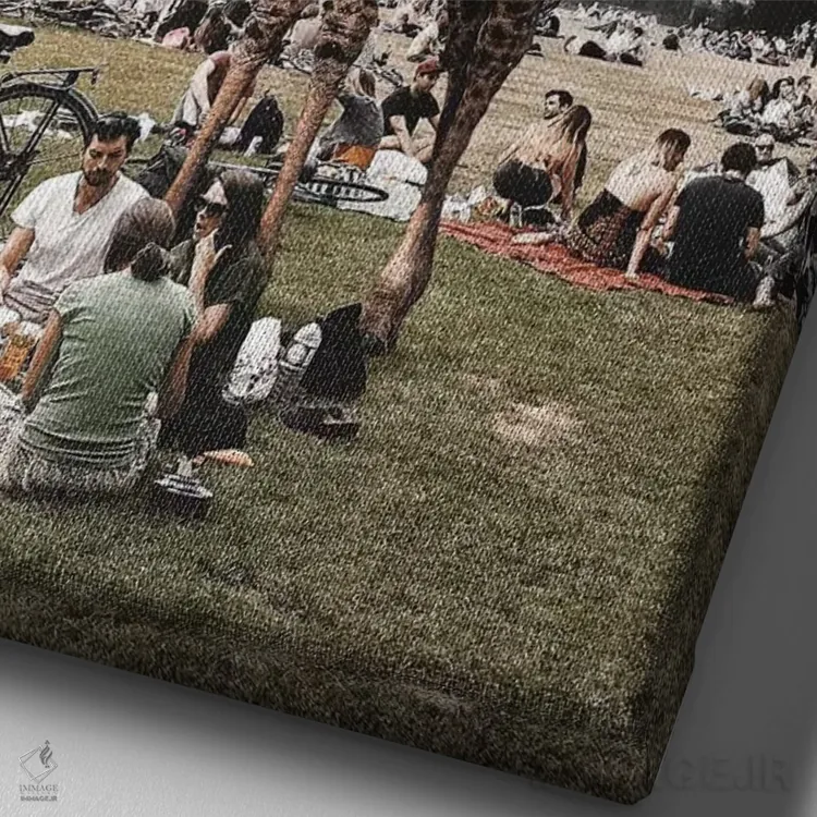 تابلو دکوراتیو شنبه در پارک اثر ای ان.پی اس - نمای نزدیک بافت بوم