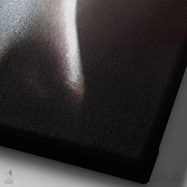 تابلو دکوراتیو خودکاوی اثر ای ان.پی اس - نمای نزدیک بافت بوم