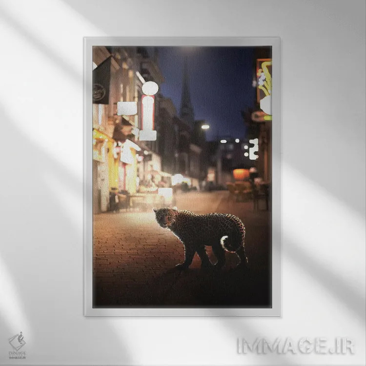 تابلو دکوراتیو زندگی شبانه اثر ای ان.پی اس - نمای قابدار سفید