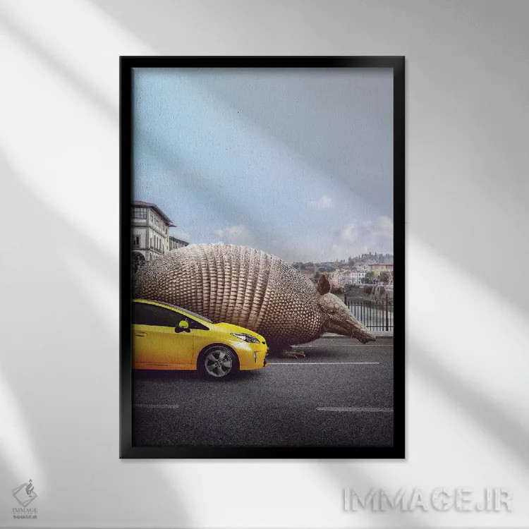 تابلو دکوراتیو آرمادیلوی غریبه اثر ای ان.پی اس - نمای قابدار مشکی