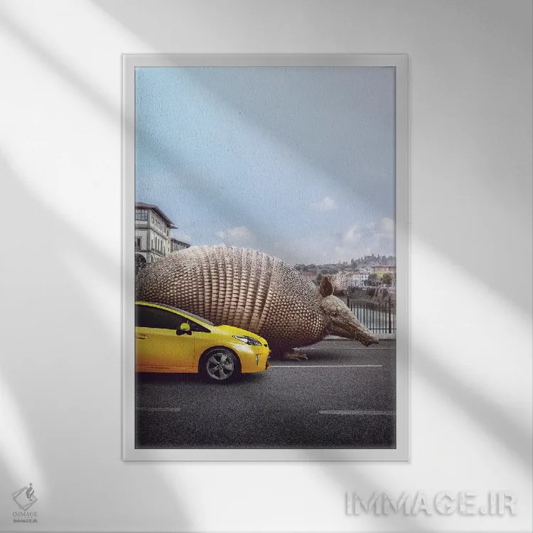 تابلو دکوراتیو آرمادیلوی غریبه اثر ای ان.پی اس - نمای قابدار سفید