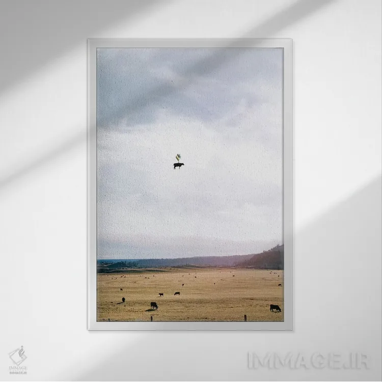 تابلو دکوراتیو یکشنبه تنبل اثر ای ان.پی اس - نمای قابدار سفید