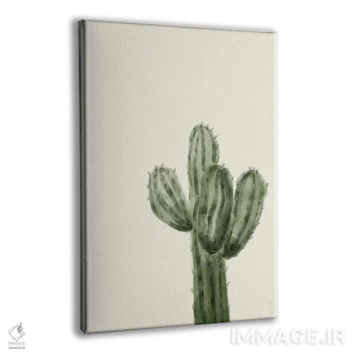 تابلو مینیمال هنر کاکتوس اثر اوگنیا اسمیرنوا - نمای پرسپکتیو محصول