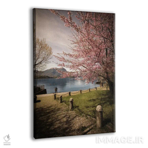 تابلو دکوراتیو شکوفه گیلاس روی دریاچه کومو اثر انزو رومانو - نمای پرسپکتیو محصول
