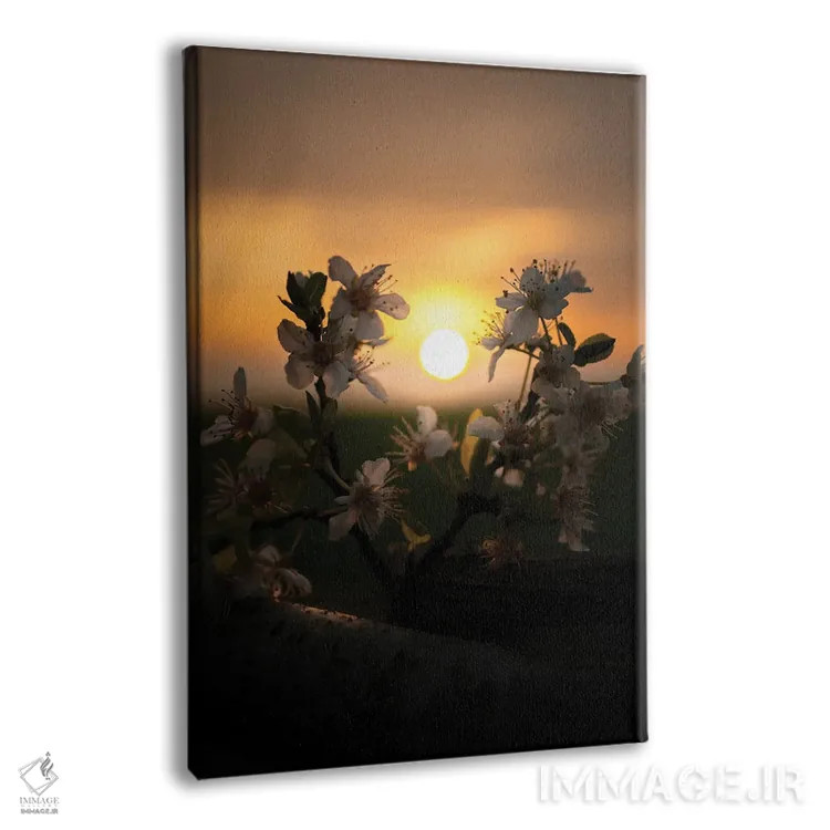 تابلو دکوراتیو غروب آفتاب اثر انزو رومانو - نمای پرسپکتیو محصول