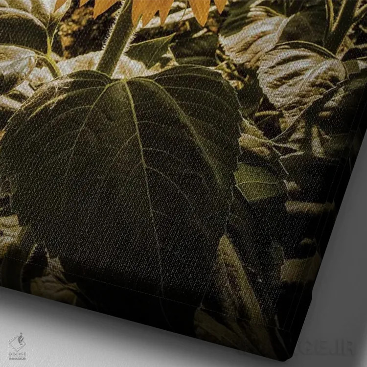 تابلو دکوراتیو گل های آفتابگردان II اثر انزو رومانو - نمای نزدیک بافت بوم