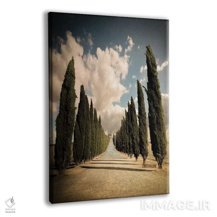 تابلو دکوراتیو دره ارشیا اثر انزو رومانو - نمای پرسپکتیو محصول