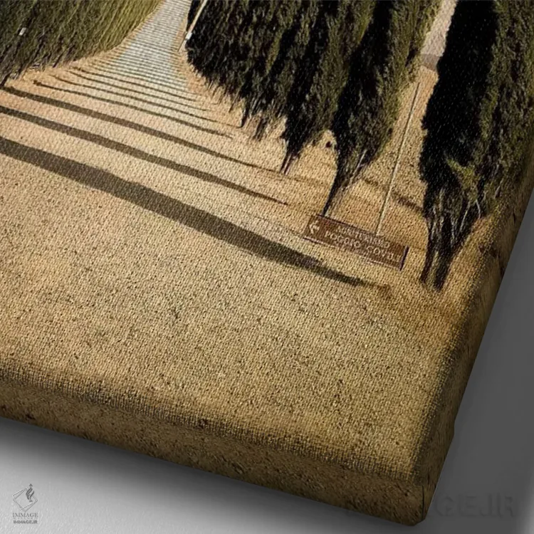 تابلو دکوراتیو دره ارشیا اثر انزو رومانو - نمای نزدیک بافت بوم