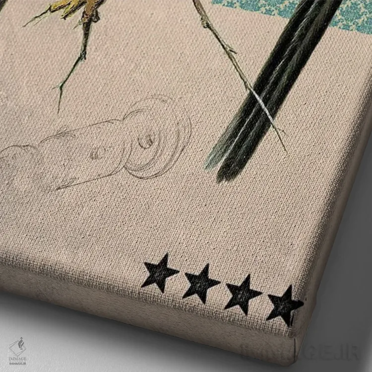 تابلو دکوراتیو پرندگان اثر الو مارک - نمای نزدیک بافت بوم