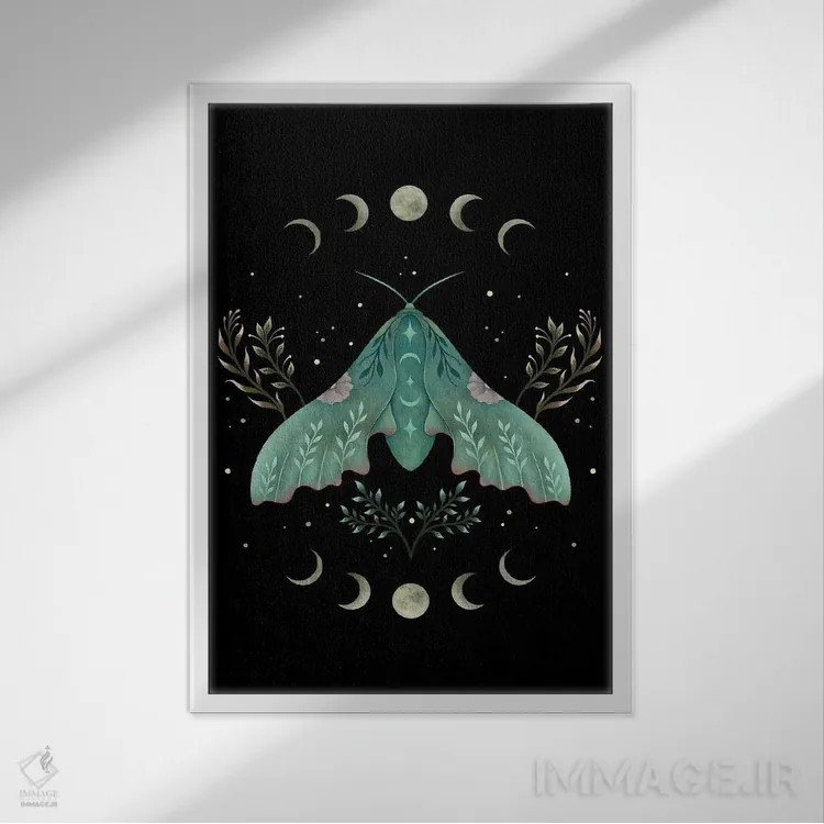 تابلو دکوراتیو لونا و پروانه شب پره اثر اپیزودیک دراوینگ - نمای قابدار سفید