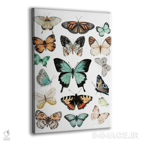 تابلو دکوراتیو پروانه ها اثر افرازی گرافیکز - نمای پرسپکتیو محصول