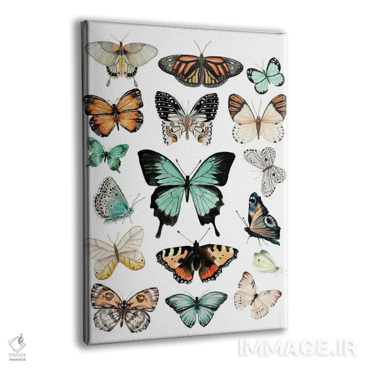 تابلو دکوراتیو پروانه ها اثر افرازی گرافیکز - نمای پرسپکتیو محصول