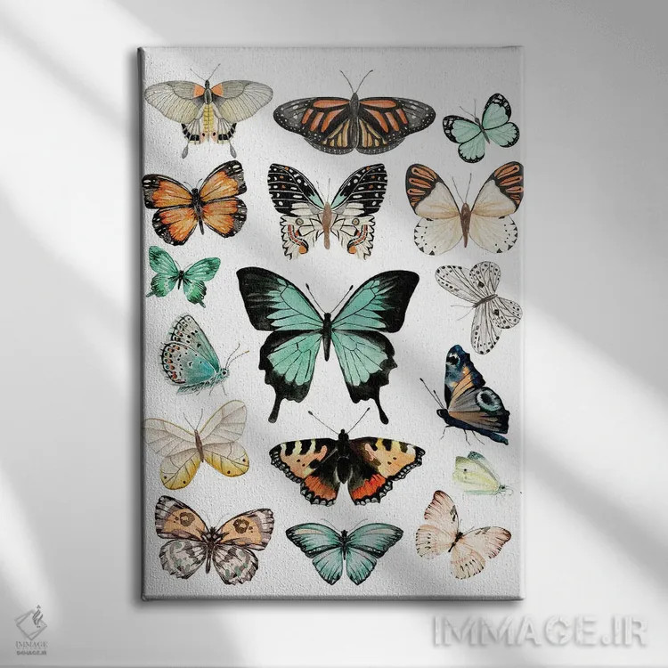 تابلو دکوراتیو پروانه ها اثر افرازی گرافیکز - نمای روبهرو روی دیوار