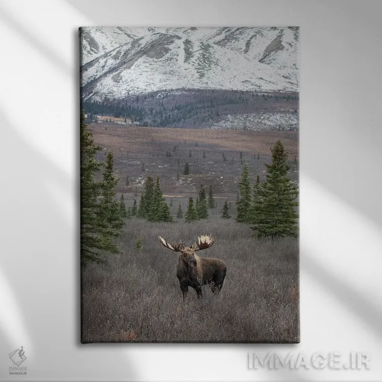 تابلو دکوراتیو گوزن دنالی با برف اثر اریک فیشر - نمای روبهرو روی دیوار