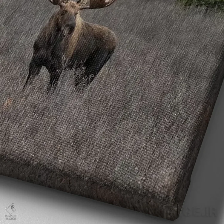 تابلو دکوراتیو گوزن دنالی با برف اثر اریک فیشر - نمای نزدیک بافت بوم