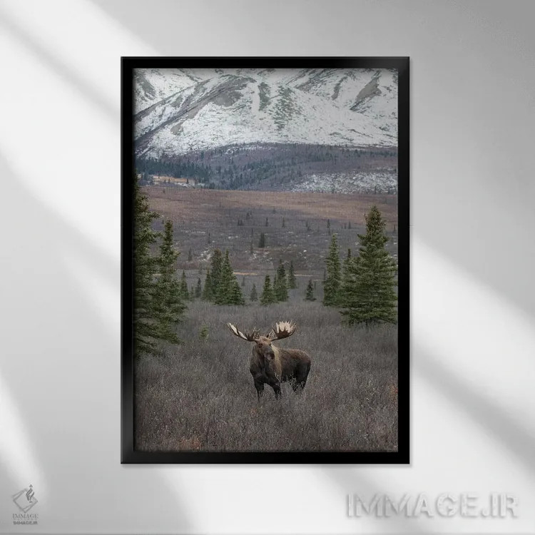 تابلو دکوراتیو گوزن دنالی با برف اثر اریک فیشر - نمای قابدار مشکی