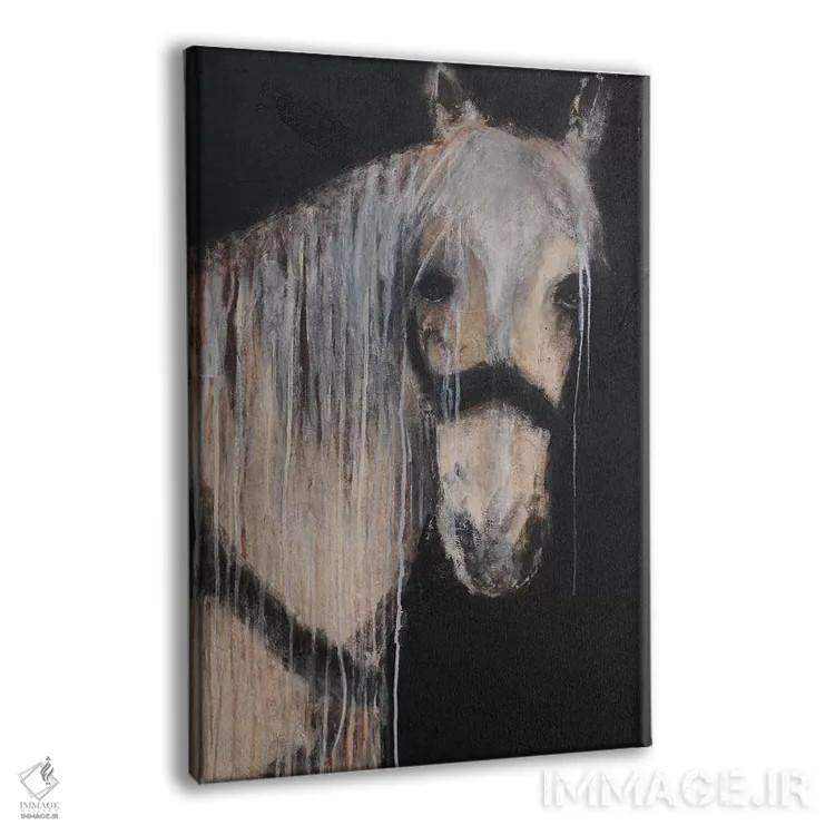 تابلو مدرن سوار روح اثر ارین اشلی - نمای پرسپکتیو محصول