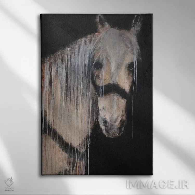 تابلو مدرن سوار روح اثر ارین اشلی - نمای روبهرو روی دیوار
