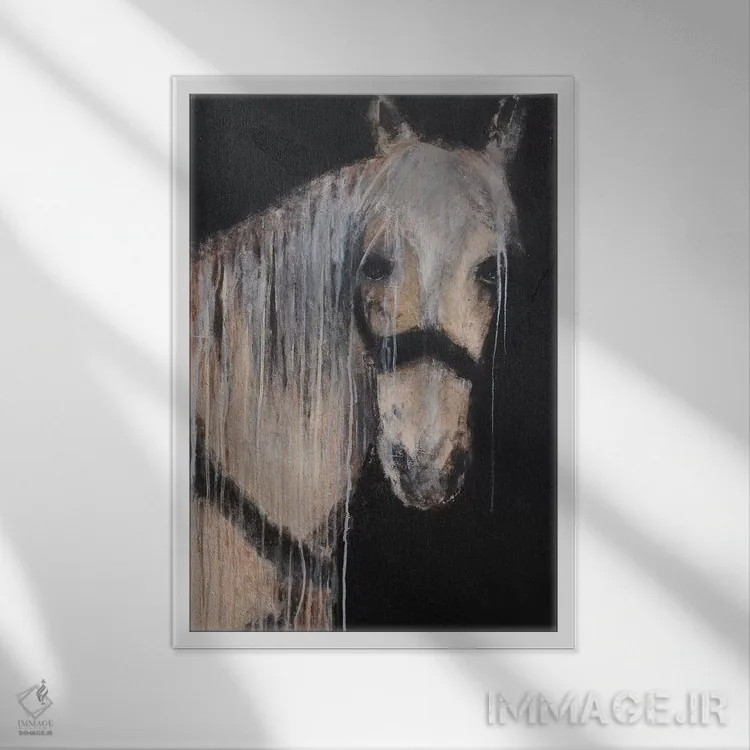 تابلو مدرن سوار روح اثر ارین اشلی - نمای قابدار سفید