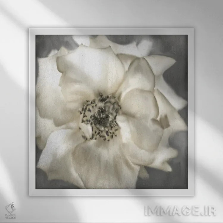 تابلو دکوراتیو رز طلایی اثر کیمبرلی آلن - نمای قابدار سفید