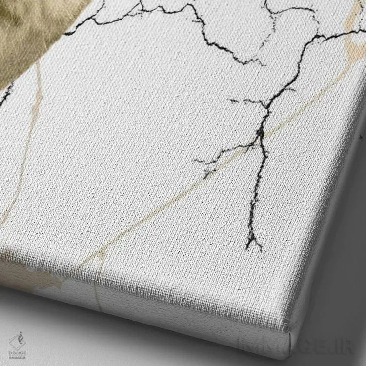 تابلو دکوراتیو آفرینش آدام اثر ادسون راموس - نمای نزدیک بافت بوم