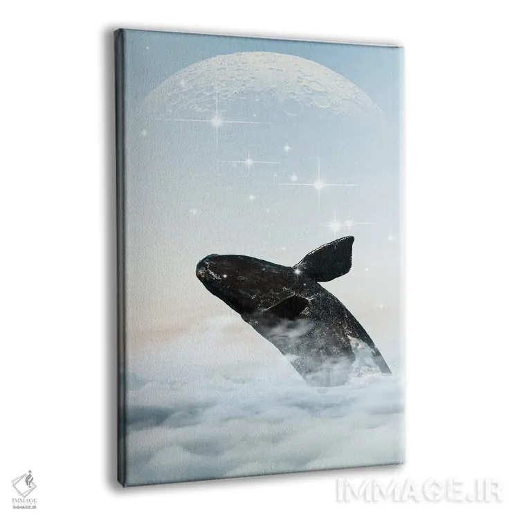 تابلو دکوراتیو نهنگ در آسمان اثر ادسون راموس - نمای پرسپکتیو محصول