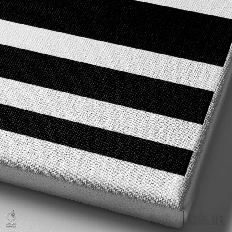 تابلو مینیمال گربه گرافیکی اثر ادسون راموس - نمای نزدیک بافت بوم