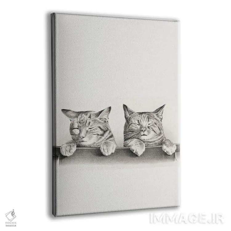 تابلو دکوراتیو گربه بانمک اثر ادسون راموس - نمای پرسپکتیو محصول