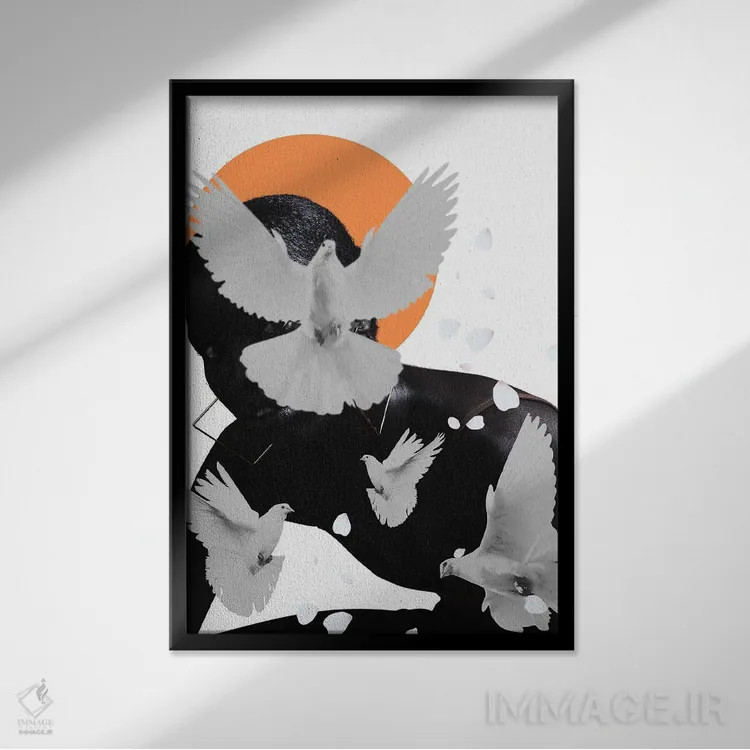 تابلو دکوراتیو کبوترها اثر ادسون راموس - نمای قابدار مشکی