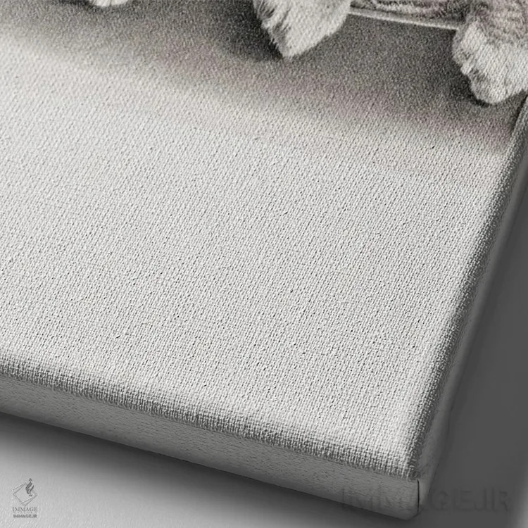 تابلو دکوراتیو گربه بانمک اثر ادسون راموس - نمای نزدیک بافت بوم