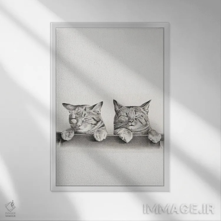 تابلو دکوراتیو گربه بانمک اثر ادسون راموس - نمای قابدار سفید