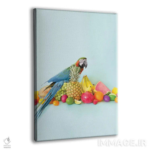 تابلو دکوراتیو پرتره طوطی اثر ارین سامر - نمای پرسپکتیو محصول