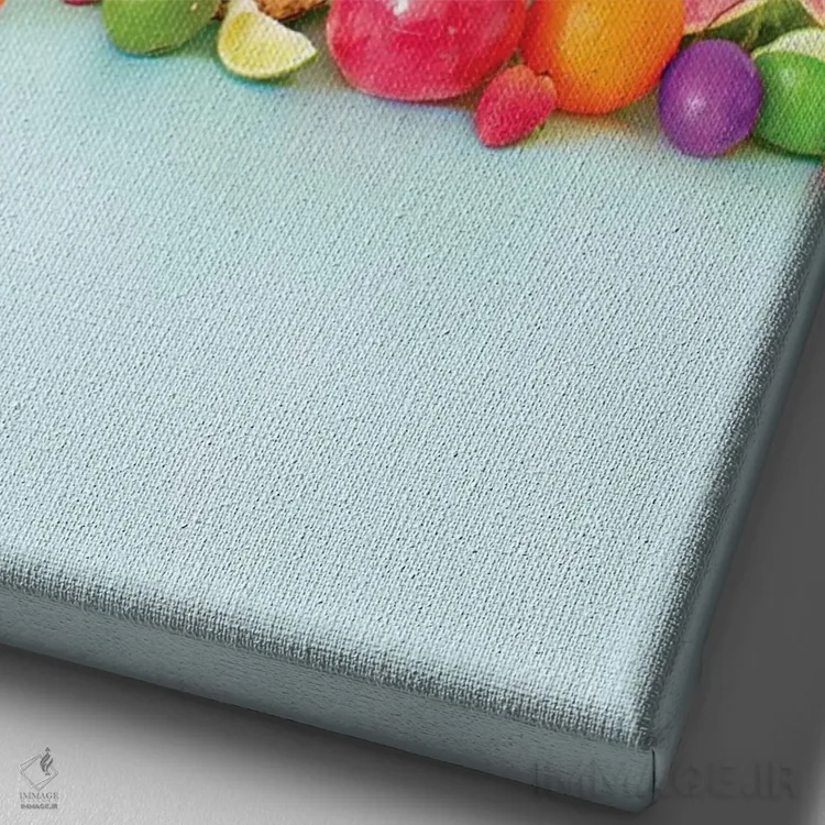 تابلو دکوراتیو پرتره طوطی اثر ارین سامر - نمای نزدیک بافت بوم