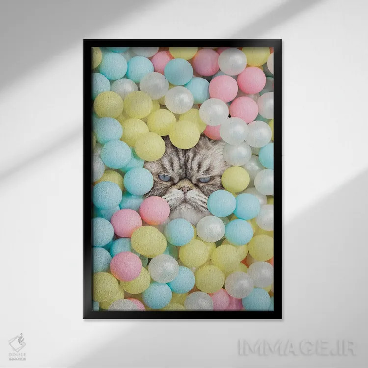 تابلو دکوراتیو گربه منشی اثر ارین سامر - نمای قابدار مشکی