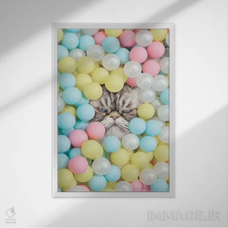 تابلو دکوراتیو گربه منشی اثر ارین سامر - نمای قابدار سفید