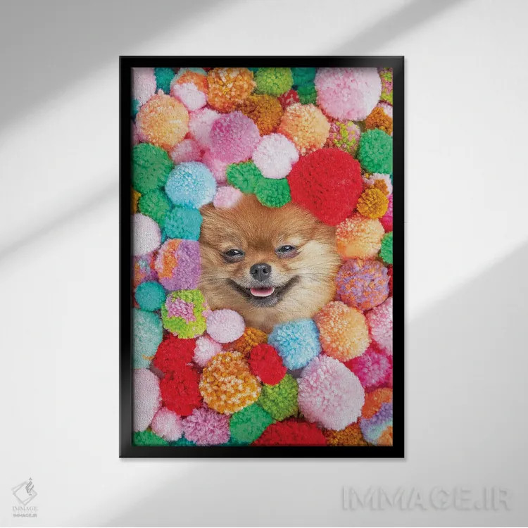 تابلو دکوراتیو پوم پومرانیان اثر ارین سامر - نمای قابدار مشکی