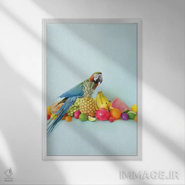 تابلو دکوراتیو پرتره طوطی اثر ارین سامر - نمای قابدار سفید