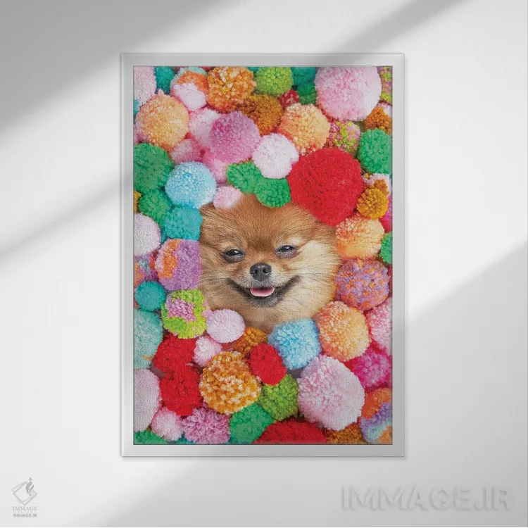 تابلو دکوراتیو پوم پومرانیان اثر ارین سامر - نمای قابدار سفید