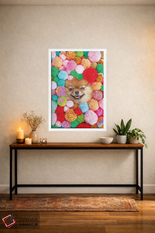 تابلو دکوراتیو پوم پومرانیان اثر ارین سامر - D3W