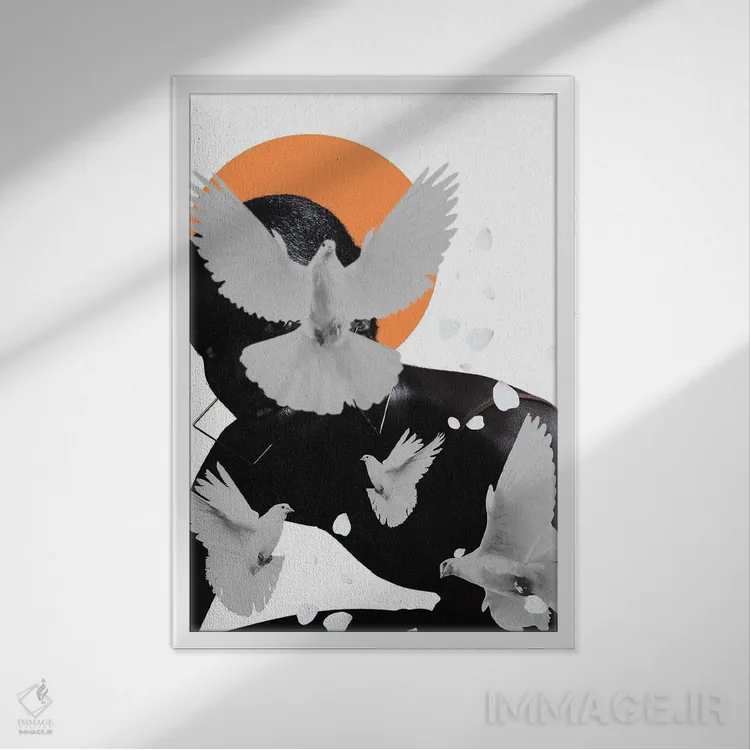 تابلو دکوراتیو کبوترها اثر ادسون راموس - نمای قابدار سفید