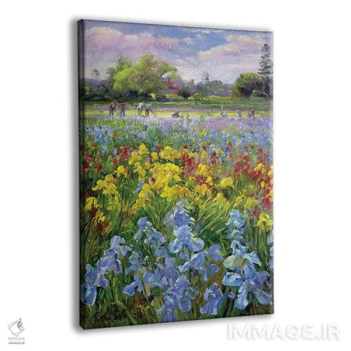 تابلو کلاسیک تیم بیل زنی و مزارع زنبق، ۱۹۹۳ اثر تیموتی ایستون - نمای پرسپکتیو محصول