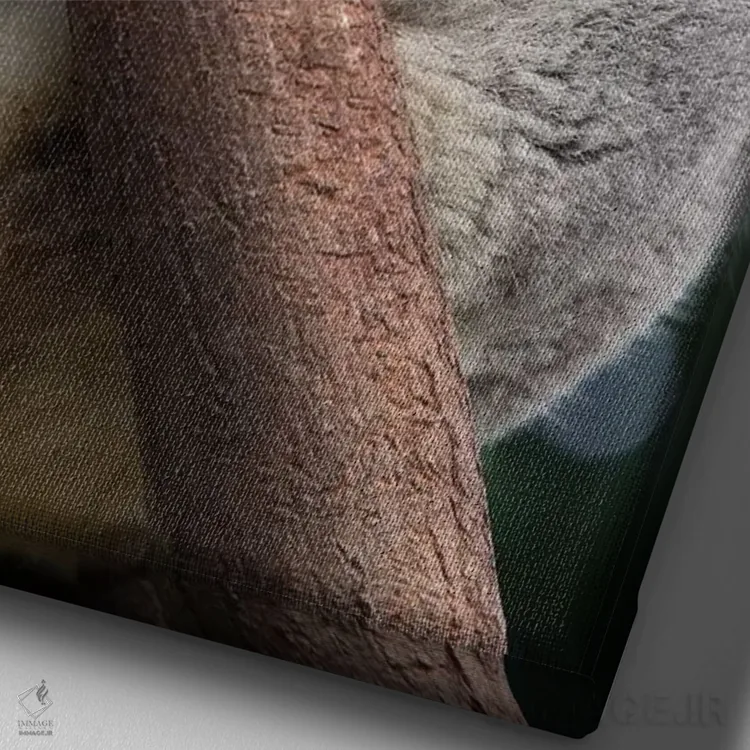 تابلو دکوراتیو کوالای نر خوابیده، کوئینزلند، استرالیا اثر سوزی اسزترهاس - نمای نزدیک بافت بوم